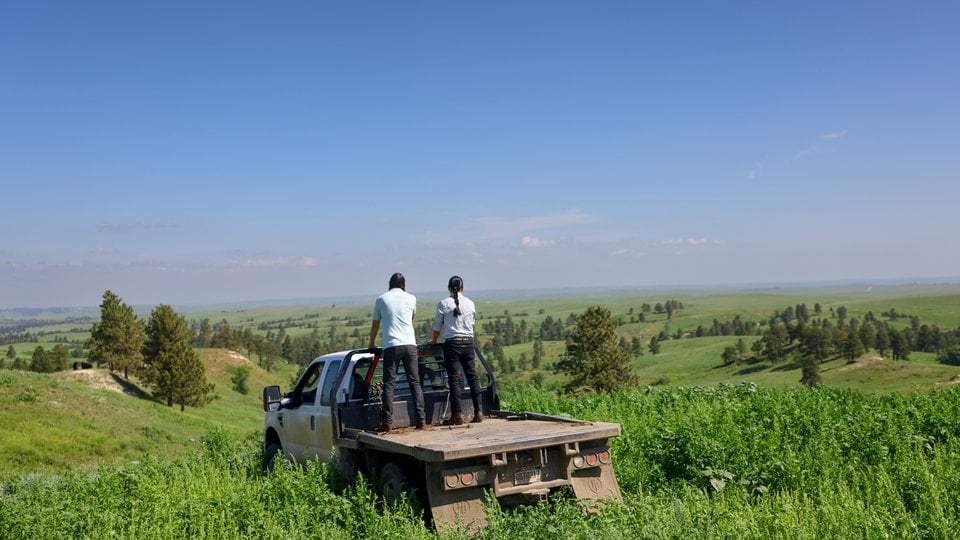 Two people standing in back of pickup truck looking over green fields