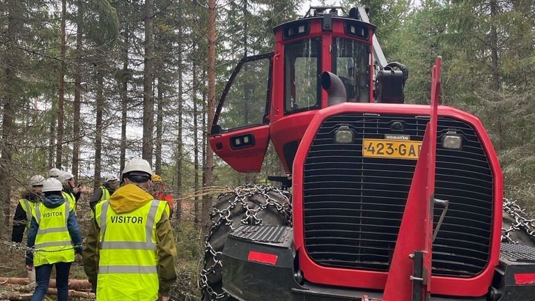 workers in a forest with a tractor
