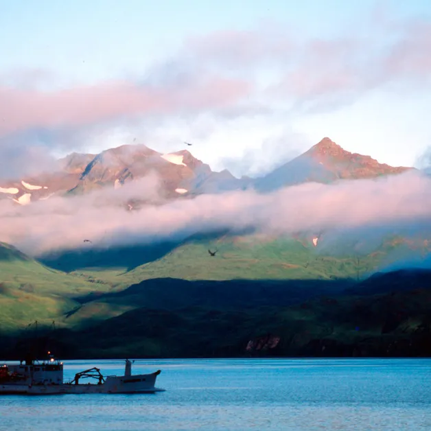 Bering Sea, Arctic Ocean, Arctic