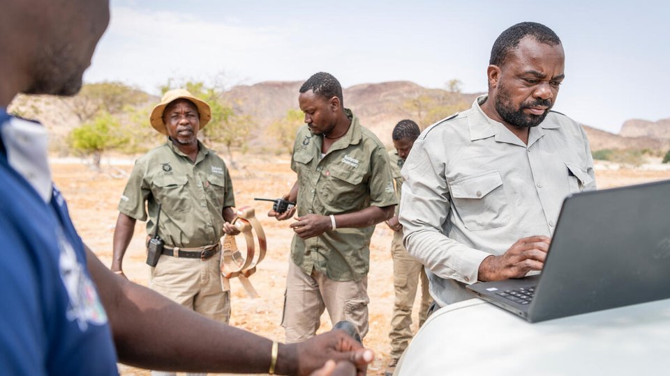 Uakendisa Muzuma stands at a truck checking his laptop as the team prepares to track a lion for satellite collaring