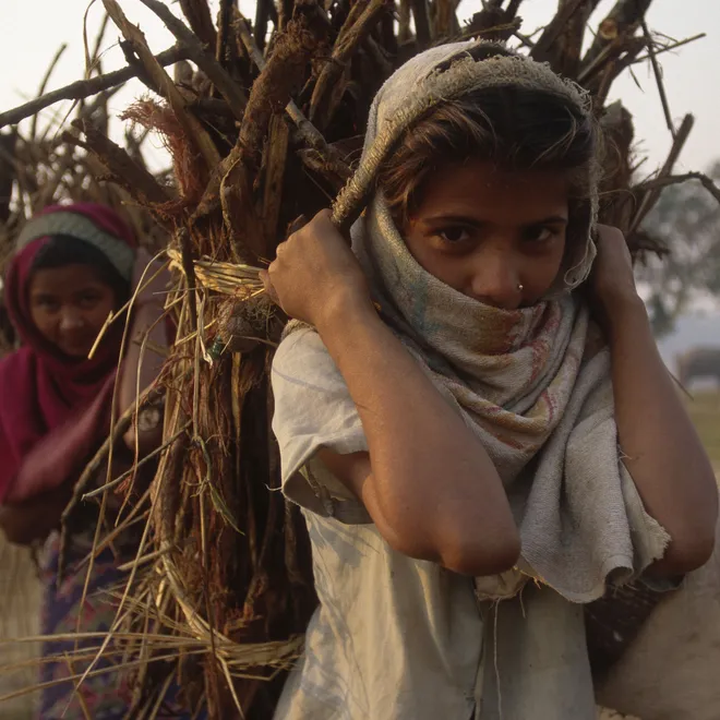 Two young people wearing head and face coverings carry wood on their backs