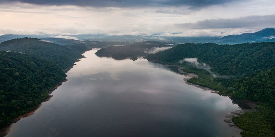 river heading to the horizon with forest on both sides