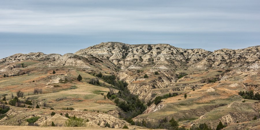 A landscape view of a tan colored grass and rocky mountains