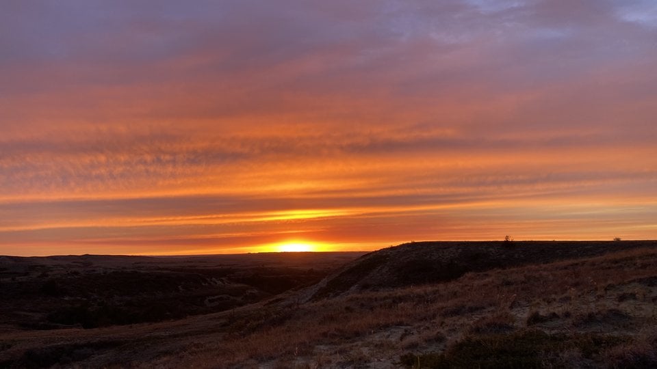 grasslands landscape at sunset