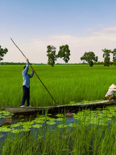 Person paddling on calm water in tall green grass