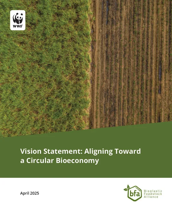 Report cover