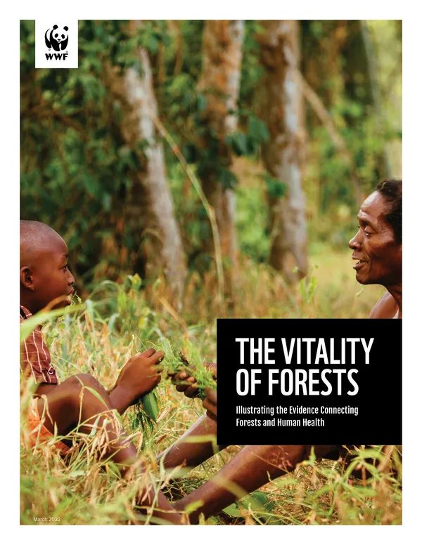 Cover of WWF report Vitality of Forests
