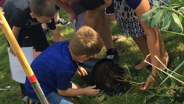 Mireille Hess and her students planting milkweed