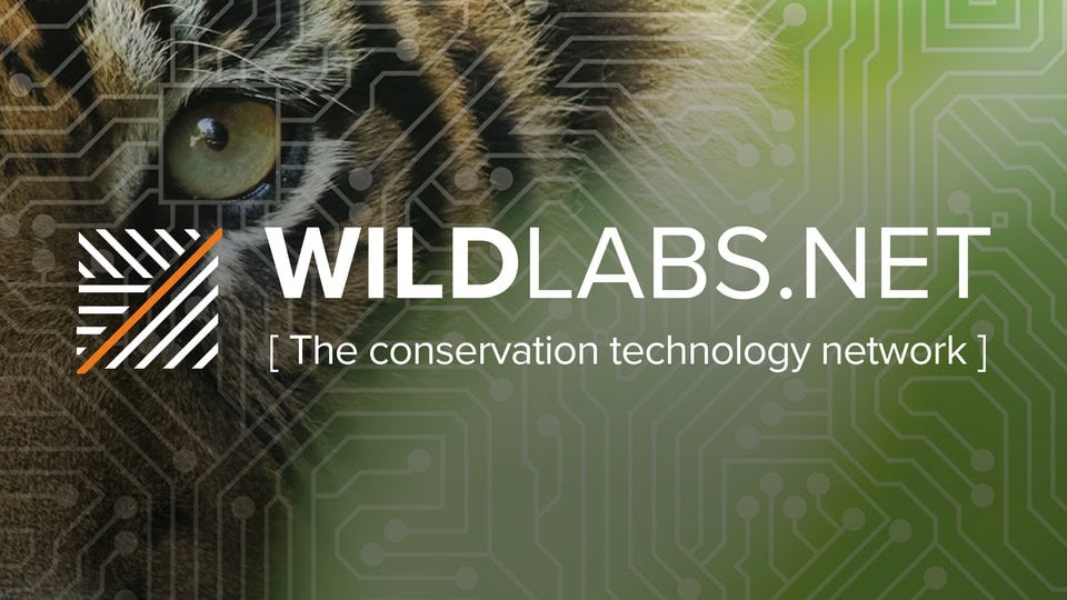 WILDLABS banner
