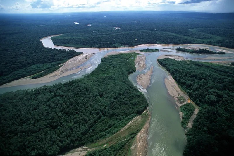 Two rivers intersect in a forest landscape