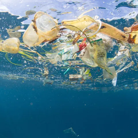 Plastic waste drifting in the sea as seen from below near Bali, Indonesia. This kind of plastic pollution is also nicknamed plastic soup.