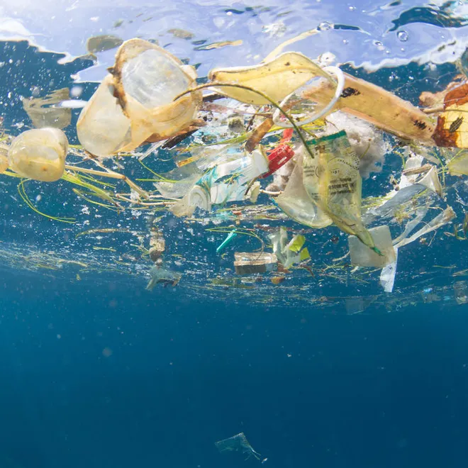 Plastic waste drifting in the sea as seen from below near Bali, Indonesia. This kind of plastic pollution is also nicknamed plastic soup.