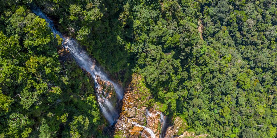 An aerial view of a forest with a waterfall.