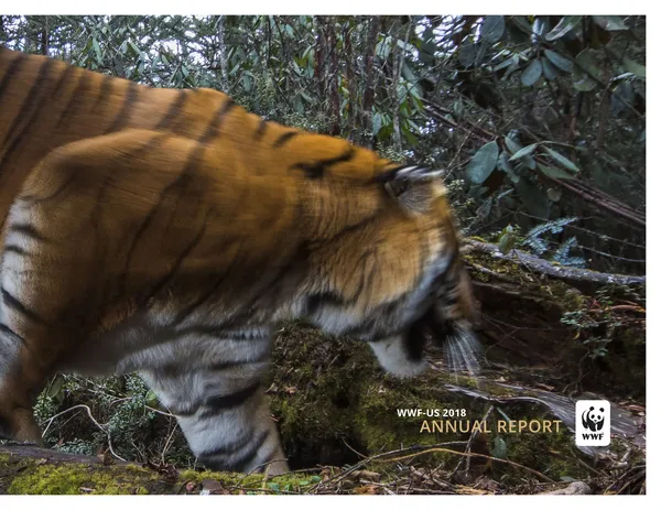The cover of the WWF-US Annual Report from 2018 featuring a closeup image of a tiger walking near a forest.