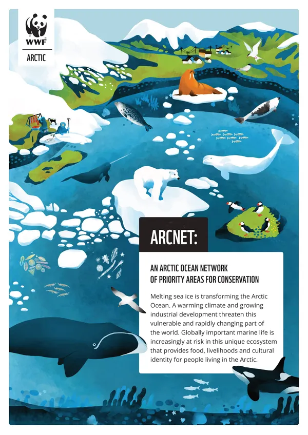 A scientific report cover with an illustration showing underwater sea creatures and the title "Arcnet"