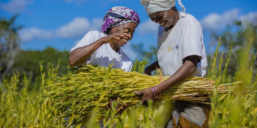 Two women smile as they tie up newly harvested plants