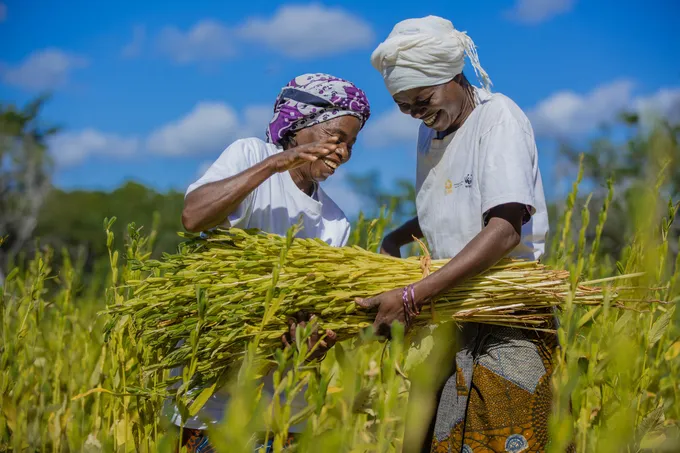 Two women smile as they tie up newly harvested plants