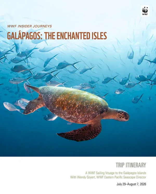 Cover photo for Galapagos trip 2026