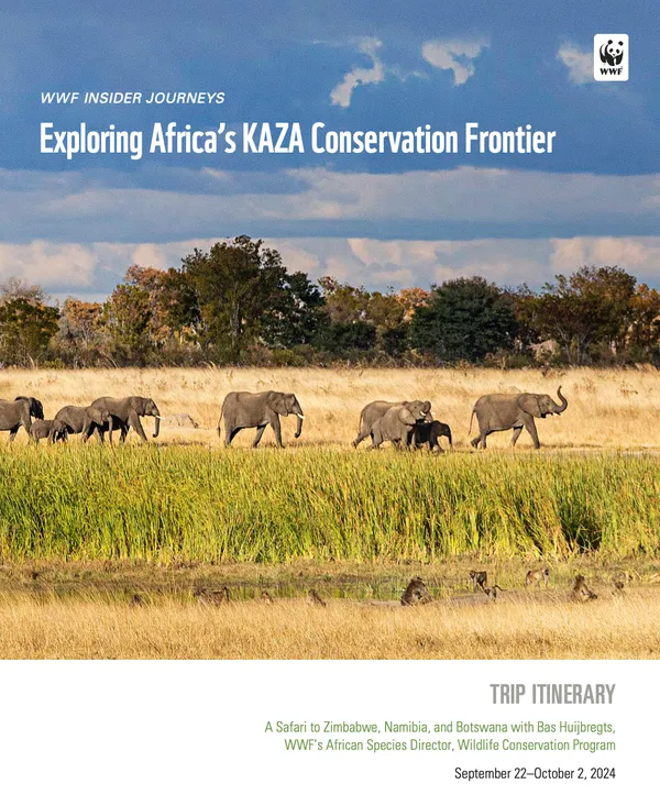 Cover photo for IJ KAZA trip 2024