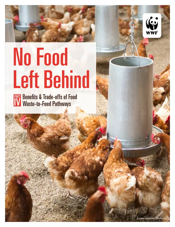 A scientific report cover with a photo of chickens surrounding a watering trough and the title "No Food Left Behind."