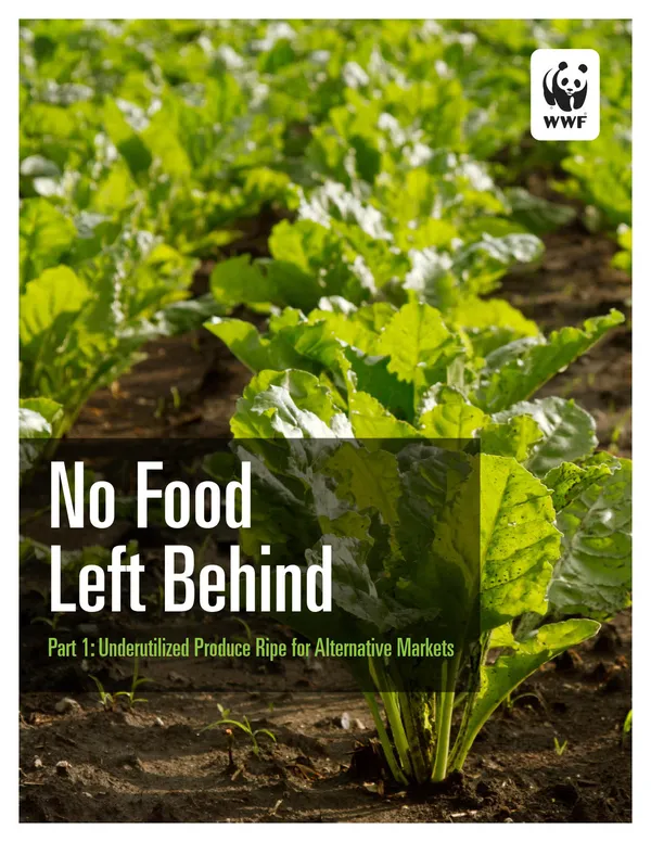 A scientific report cover with a photo of leafy greens growing in brown soil and the title "No Food Left Behind."