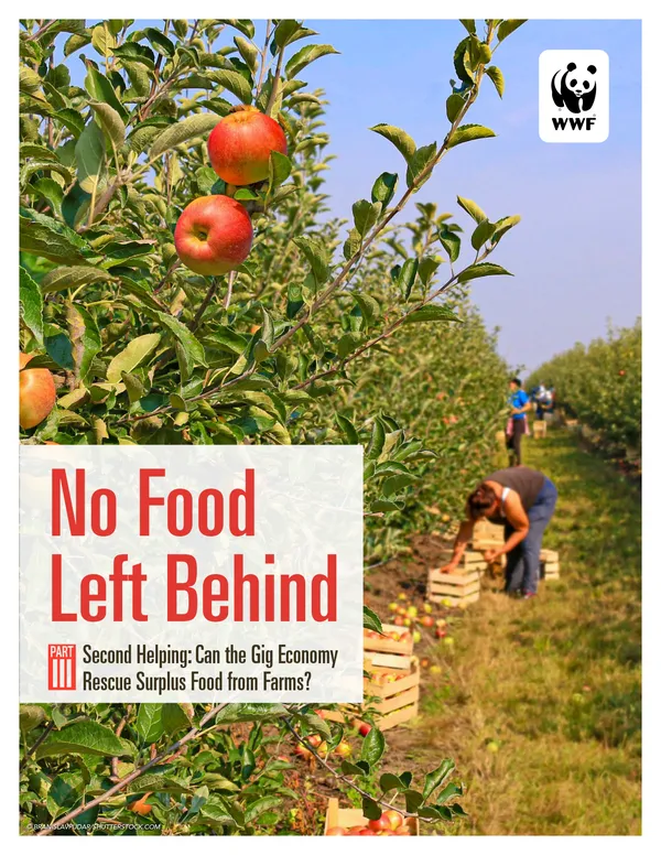 A scientific report cover with a photo of harvesters picking apples and the title "No Food Left Behind."