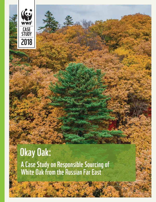A scientific report cover with a canopy of trees, mostly brown and with one green one at center, with the report title "Okay Oak."