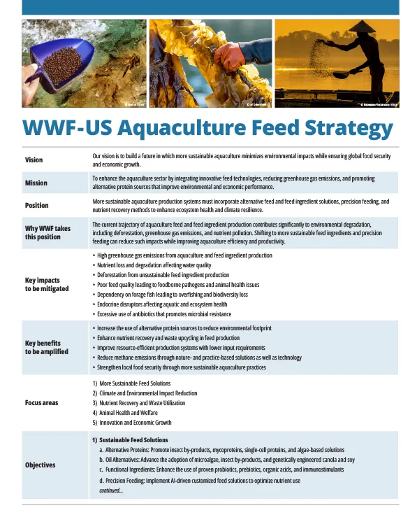 WWF-US Aquaculture Feed Strategy thumbnail