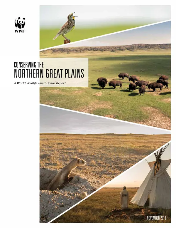 A scientific report cover with four triangulated photos of species in the Northern Great Plains and the title "Conserving the Northern Great Plains."