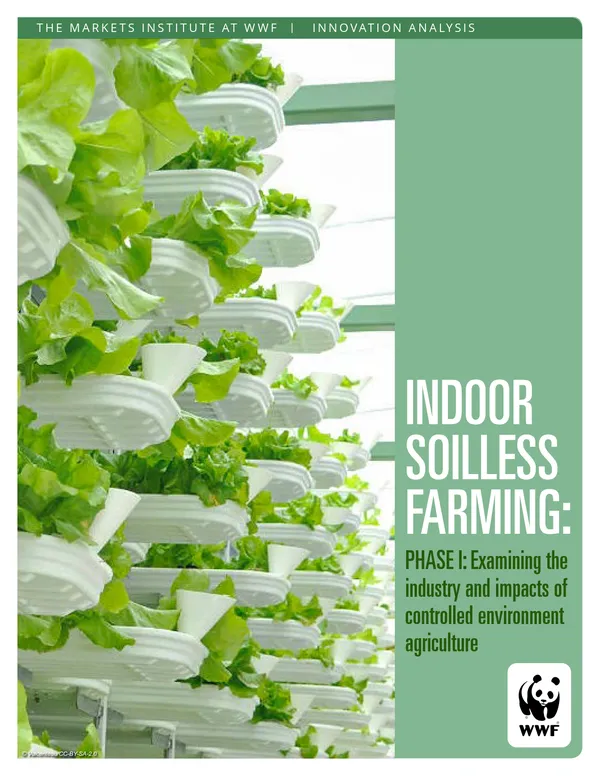 Report cover featuring soilless farming imagery of plants growing indoors with the report title: Soilless Farming: Phase I: Exampining the industry and impacts of controlled environment agriculture.