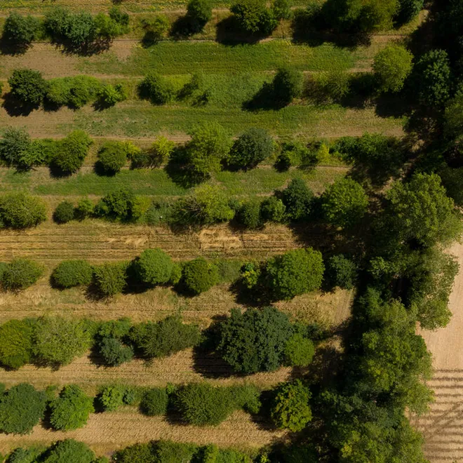 Aerial views of Wakelyns Farm, Fressingfield, Suffolk