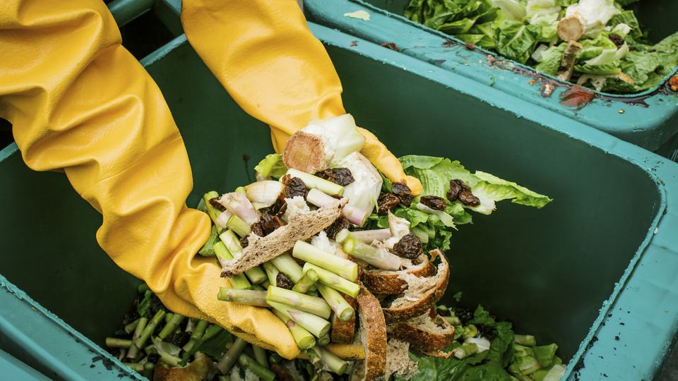 Reaching into a bin of compost waste.