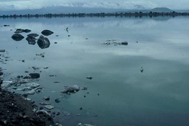 The edge of a lake with polluting debris submerged