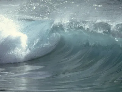 A small wave begins to break.