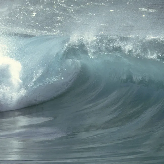 A small wave begins to break.