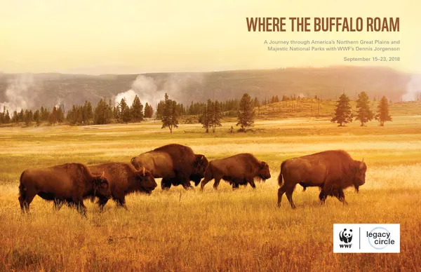 A scientific report cover with an image of a group of bison with a grassy backdrop and trees in the distance.