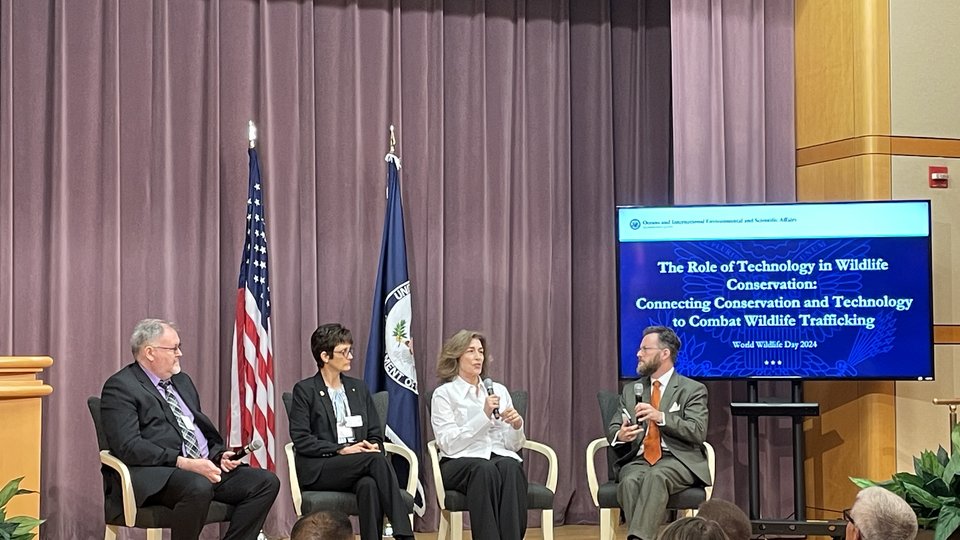 Four people on stage at a World Wildlife Day event