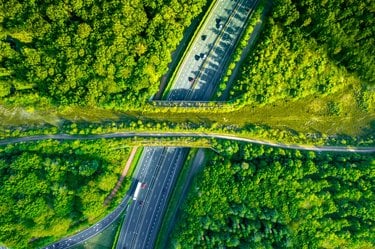 Aerial view of a bridge filled with vegetation over a multi-lane highway