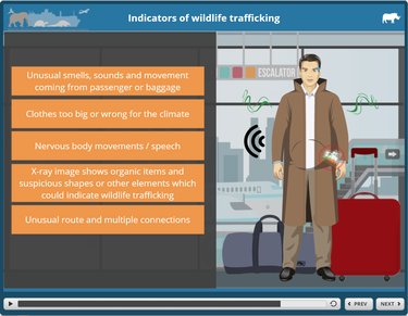 A screenshot of a learning module about tracking illegal wildlife trade.
