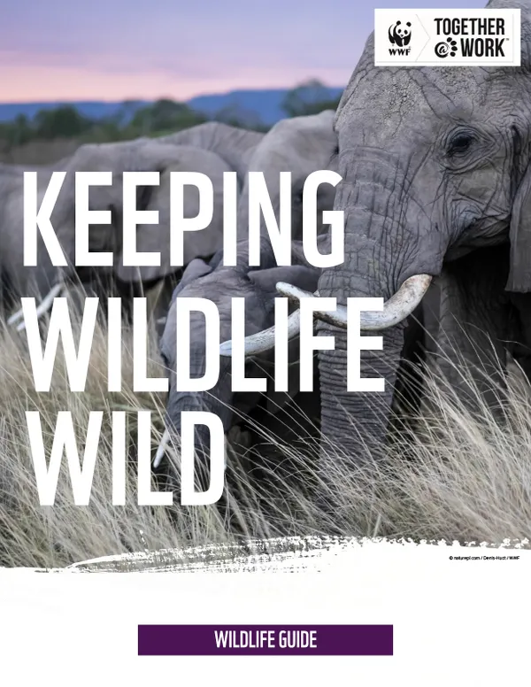 "Keeping Wildlife Wild" over photo of Elephants