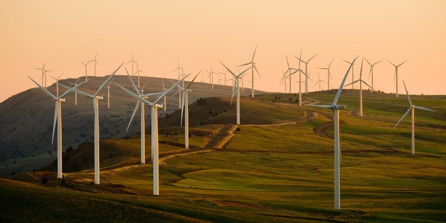 Wind turbines in a grassy area