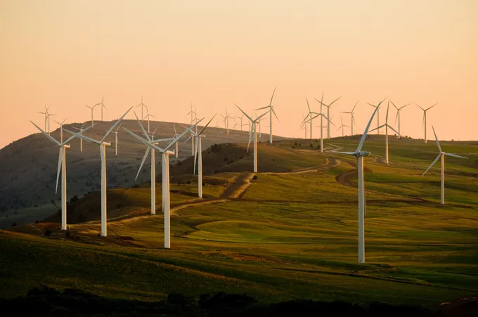 Wind turbines in a grassy area