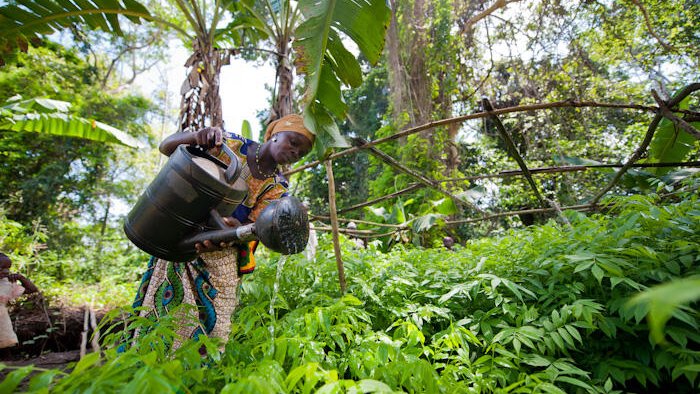 A woman waters plants in colorful clothing in a bright green forest