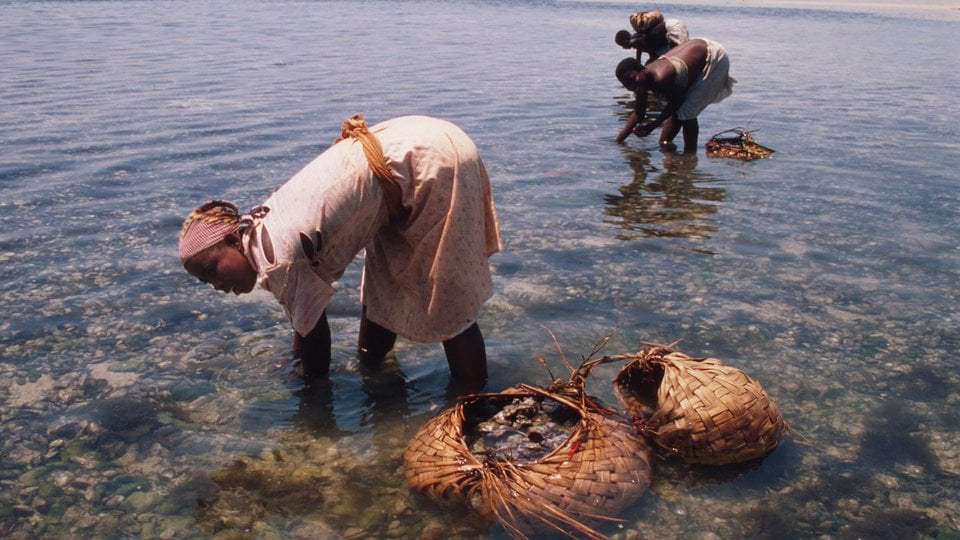 A woman bends over water cleaning oysters with two baskets beside her