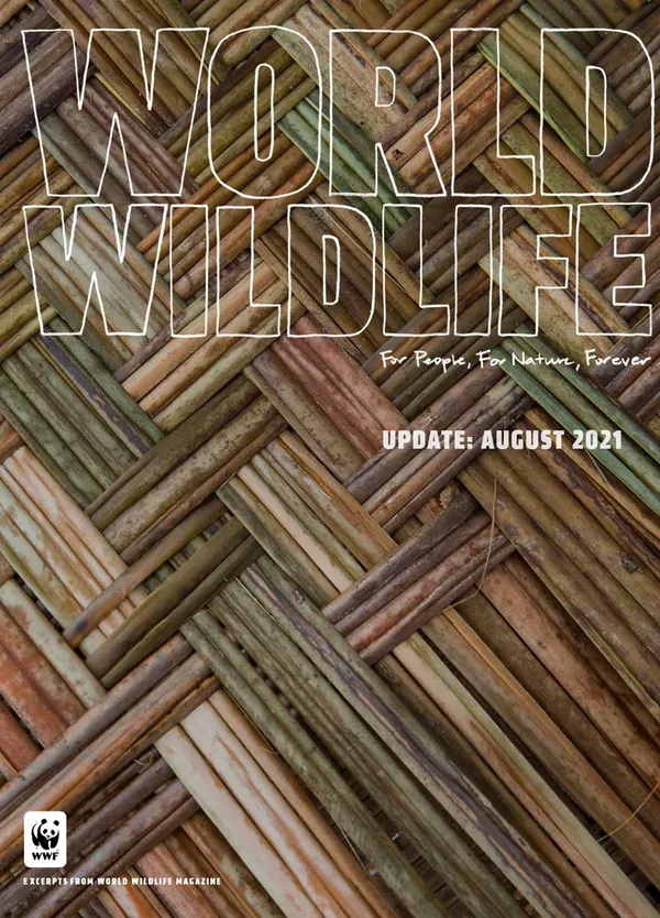 Close up view of woven mat