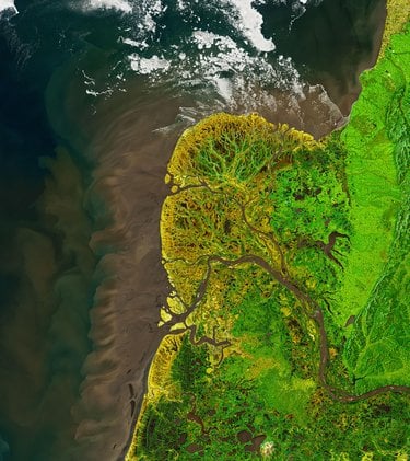 View of the Yukon-Kuskokwim Delta from space in bright green with dark waters