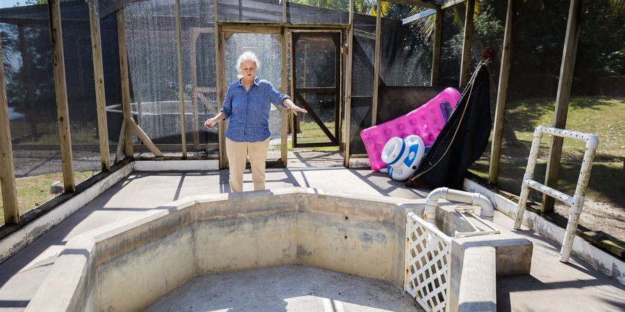 Zoe Walker stands behind a concrete rehabilitation pool that is currently empty.
