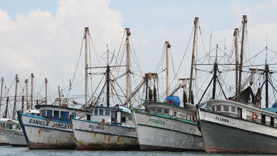 in the harbour of Manta, Ecuador, a general view of the economic fishing boats