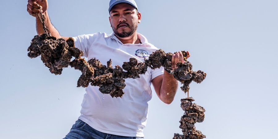 Pedro Alfonso Lopez Gonzalez holds a string of oysters on a sunny day