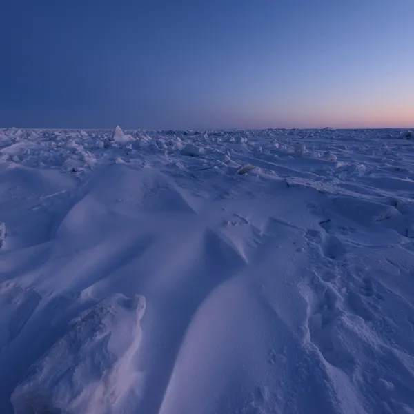 A sunset in the arctic, with snow waves and animal tracks